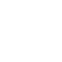 005-flash white