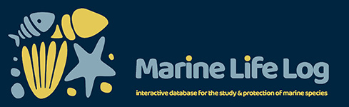 marine life log original small
